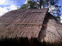 Tiek Homestay