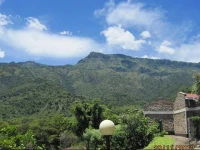 Sego Safari Lodge 