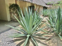 Mawimbi Lodge Hotel 