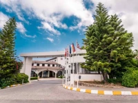 The Olive Tree Hotel 