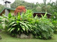 Chalet Orosi 