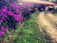 Finca Agropecuaria Queveri