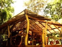 Congo Bongo Boutique Guest Houses 