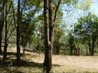 CabaГ±a El Coyote