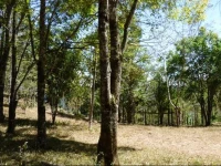 CabaГ±a El Coyote 