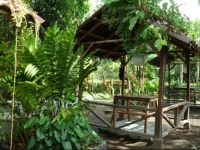 Taylors Place Tortuguero Costa Rica 