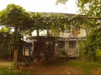 Green Forest House 