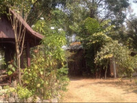 Songlao Guesthouse