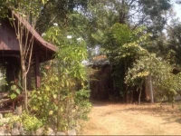 Songlao Guesthouse 