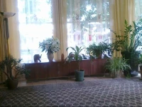 Alve Hotel 
