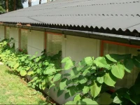 Guest house Eliass 