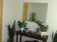 Home at Maza street 