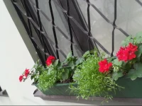 Apartment in Riga Center 