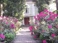 Sunny Splendid Villa 