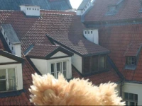 Teddy Bear Hostel Riga 