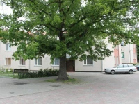 A.L 