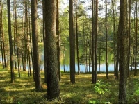 Natura 2000 