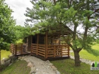 Pusu giraite 