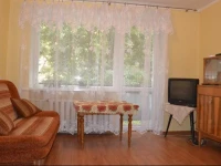 JaukЕ«s apartamentai DruskininkЕі centre 