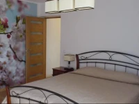 Spa Druskininkai Apartment 