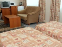 VieЕЎbutis SveДЌiЕі namai 