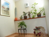 Guest House Novus Rex 