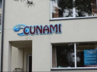 Cunami 
