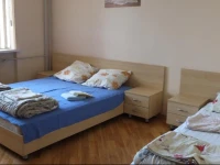 LivingPalanga Meta1 
