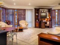 Luxury Apartment - BirutД—s al. 