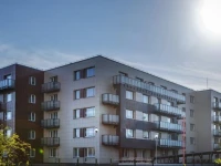 Odan Medvalakio 