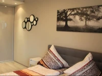 Luxury New Town Apartment 