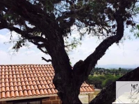 CabaГ±as Rancho San Jorge 