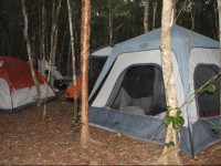 Campamento Yaax che en Calakmul
