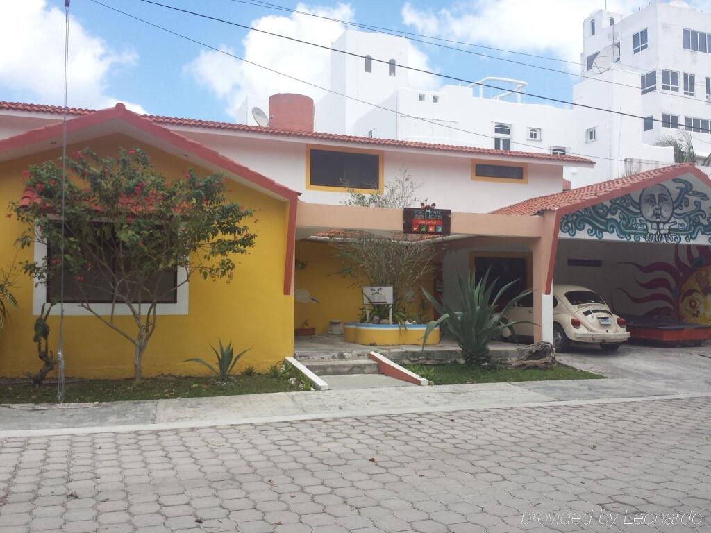 Beachouse Dive Hostel Cozumel 