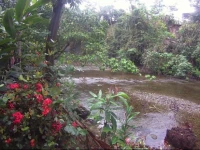 Ecoparque Agua Selva 