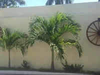 Hotel del Rio 