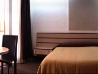 Hotel Del Bosque 