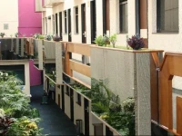 Hotel Bonampak 