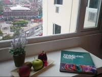 Hotel Fontan Reforma 