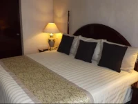 Pedregal Palace 