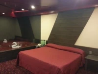 Hotel Puebla 