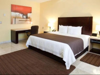 Hipico Inn