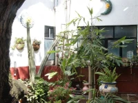 Casa Erendira 