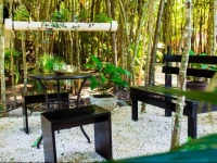 Condo Hotel El Vivero Tulum 