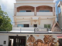 Quintana Roots Hostel 