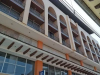Hotel Plaza Uruapan 4*