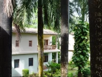 Chitwan Paradise Hotel 