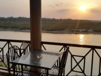 Jungle Wildlife Camp 