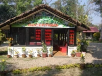 Jungle Adventure World Hotel 