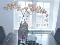 Trendy Alkmaar - Penthouse Apartment